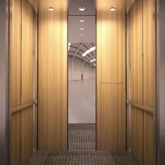 home-elevator-500x500